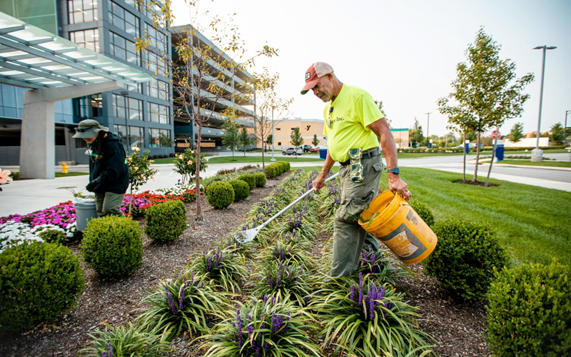 Best Landscape Contractors Services In Uttar Pradesh